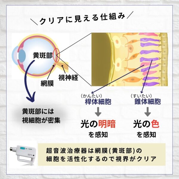 クリアに見える仕組み